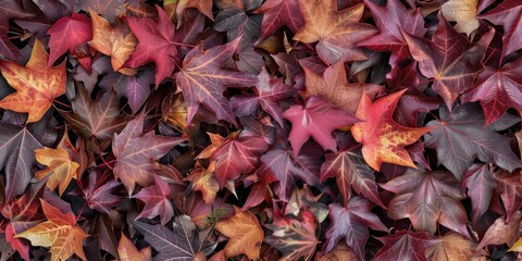Wall Mural - Autumn Leafs Organic Texture Close-Up