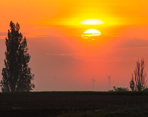 Wall Mural - Sunrise over wind turbines in the distance beyond a farm field