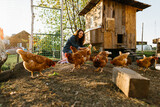 Fototapeta Zwierzęta - Happy middle aged woman on a private farm feeding chickens. Eco-friendly farmer woman cares, looks after her chickens in her backyard, promoting organic poultry farming