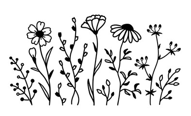 Wall Mural - Wildflowers flowers isolated and floral pattern