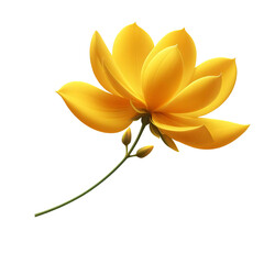 Wall Mural - yellow flower isolated on transparent background PNG Image