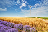 Fototapeta Sawanna - Wind turbines among agricultural fields in Bulgaria
