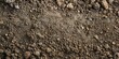 Organic Soil Texture Close-Up