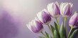 Tulipany, fioletowe kwiaty. Wiosenne tło kwiatowe. Pastelowe kolory