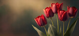 Fototapeta Tulipany - Wiosna, czerwone tulipany. Wiosenne kwiaty. Puste miejsce na tekst