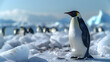 A lone penguin on a melting ice floe. Climate change concept. AI generated, human enhanced