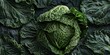 Fresh Organic Cabbage on Dark Surface