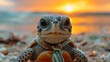   Close-up of toy turtle on beach, sun in background, water in foreground