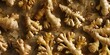 Organic Ginger Root Texture Close-Up