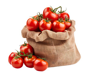 Wall Mural - Ripe tomatoes in a burlap sack, cut out