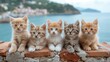  A group of kittens sitting together on a rock wall by the water's edge
