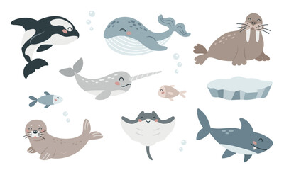 Wall Mural - Set of cute arctic sea animals in flat cartoon style. Wild polar marine mammals and fish. Design elements for printing, poster, card. Vector illustration