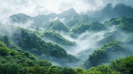 Poster - Landscape ecology