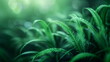 Close up of fern leaves. AI Generative.