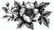 A beautiful black and white floral illustration with intricate details. The image features a large flower with delicate petals and a cluster of buds.