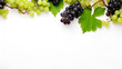 grappes de raisins et pampres de vigne
