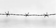 Silhouette of Barbed Wire Against White Background