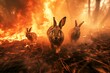 Hares escaping a fire in the woods. Concept of forest fire hazard.