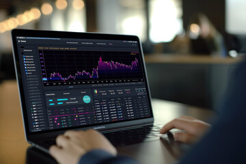 Wall Mural - A person is using a laptop to look at a stock market graph. The laptop is open to a screen displaying a graph of stock prices