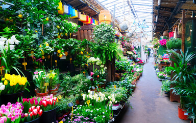 Canvas Print - Paris flower market