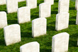 Serene Cemetery Landscape: White Tombstones Under Gentle Sunlight