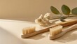 eco friendly wooden toothbrushes with natural bristles on beige studio background with copy space organic accessories for personal hygiene