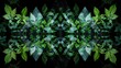Creative arts and nature fusion, water, green triangles, tints on black background, symmetrical pattern inspired by terrestrial plants