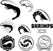 Set of shrimps meat labels, badges and design elements in vector. Sunburst, anchors, labels templates for seafood logotypes. Vector illustration.
