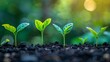 © CraftyImago - Tree agriculture plant seeding growing future of investment and business growth for financial prosperity and sustainable development concept
