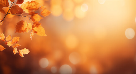 Wall Mural - autumn background with blurred golden autumn leaves on the tree and sunlight