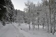 Mittenwald im Winter
