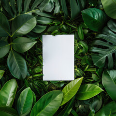 Canvas Print - Blank white sheet surrounded by tropical leaves