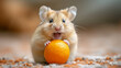 Hamster holding an orange with tiny paws and smiling