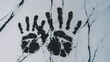black hands traces vividly imprinted on a clean white background
