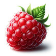 single raspberry with a leaf isolated on a white background from a side view perspective