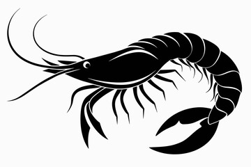 Wall Mural - shrimp-silhouette-vector-white-background.