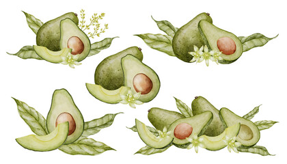 Wall Mural - Avocado Watercolor illustrations set. Botanical drawing of Fruit with flower. Vegetable with leaves painting. Hand drawn composition of vegan food on isolated background for recipes and cookbooks.