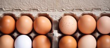 Eggs Carton With Single Egg Centered