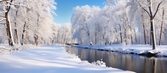 Wall Mural - Snowy trees along river in wintry forest