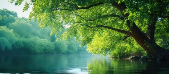 Sticker - A tree hangs above a lake against a lush forest backdrop