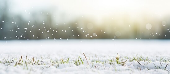 Canvas Print - Snow falling over grass field