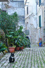 Canvas Print - A street in Prossedi, a medieval village in Lazio, Italy.