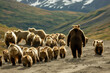 Homeward Bound: Bears Following to Security