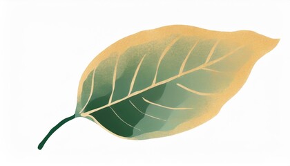 Canvas Print - a green leaf is seen on a white background