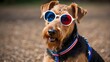 Adorable, humorous Lakeland charming group of numerous dogs sitting and standing, a cute pair of dogs, and a terrier wearing sunglasses on a light background with bokeh
