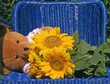 Teddybär und Sonnenblumen