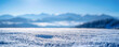 A panoramic view of a high alpine meadow under a blanket of snow, the detail of the snow surface crisp against a blurred backdrop of distant mountains \