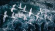 From the sky, swans weave through water, their synchrony a testament to the beauty of untamed nature