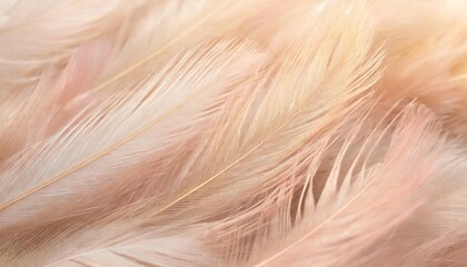 Poster - beautiful soft pink feather pattern texture background