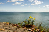 Fototapeta Do pokoju - Widok na morze Bałtyckie z klifu orłowskiego